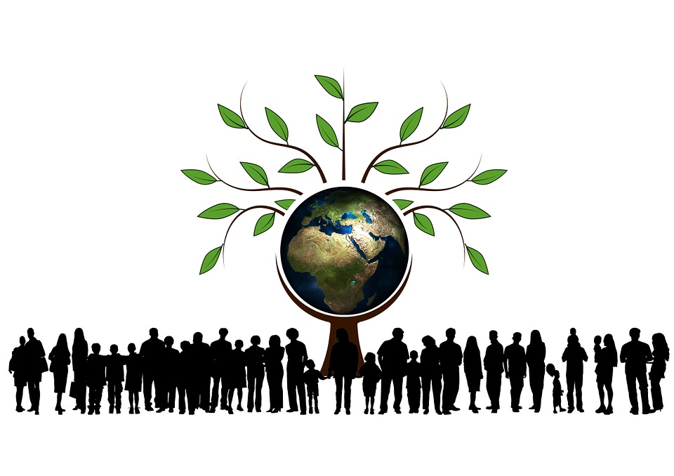 Kapcsolat - The Overpopulation Project