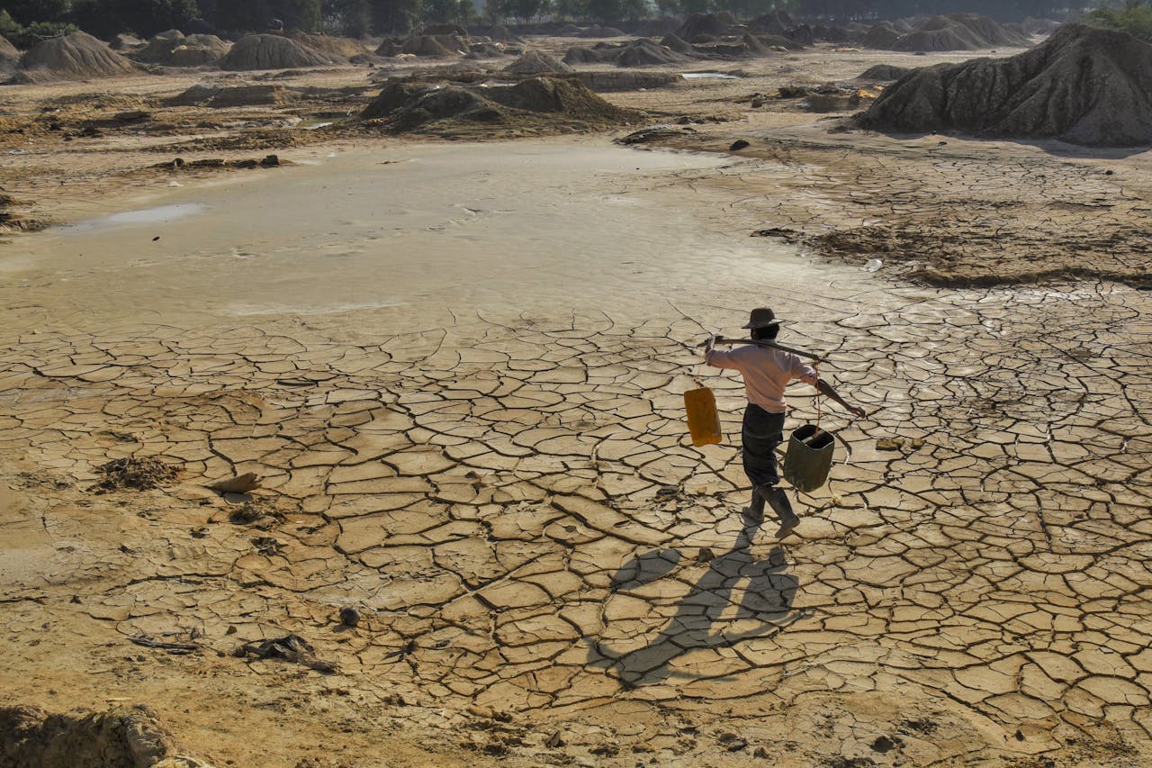 Major UN report highlights overpopulation and overconsumption, need for ...